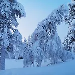 Шале Arctic Log