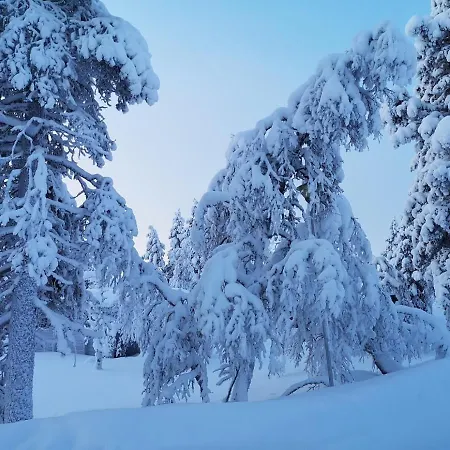 شاليه Arctic Log