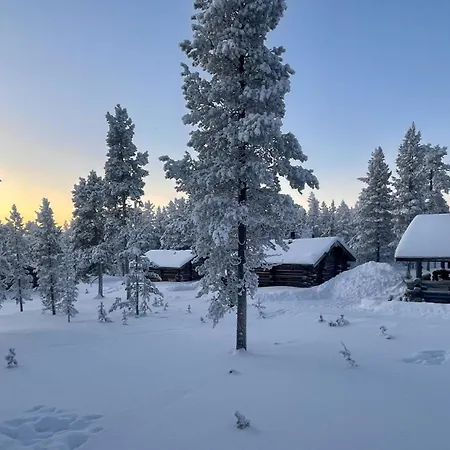 シャレー Arctic Log