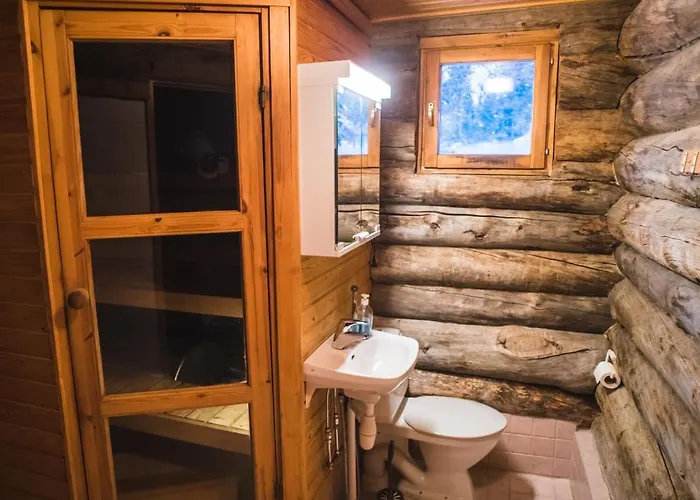 Arctic Log * 萨利色尔卡