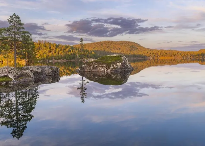 Arctic Log * 萨利色尔卡